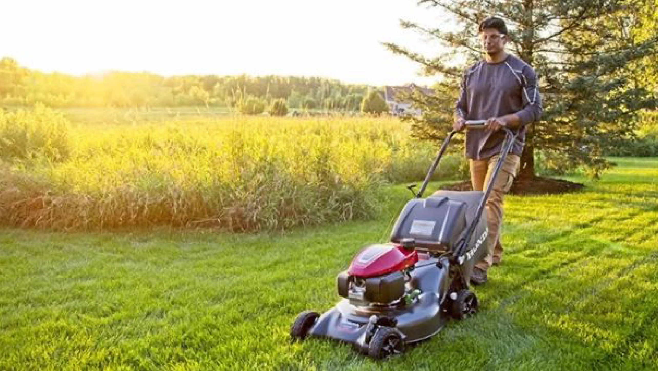 Walk Behind Mowers Inspection Image